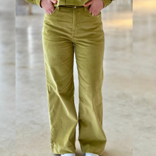 Pantalon velours